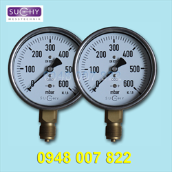 Đồng hồ đo áp suất MK20 100 (0....600mbar)